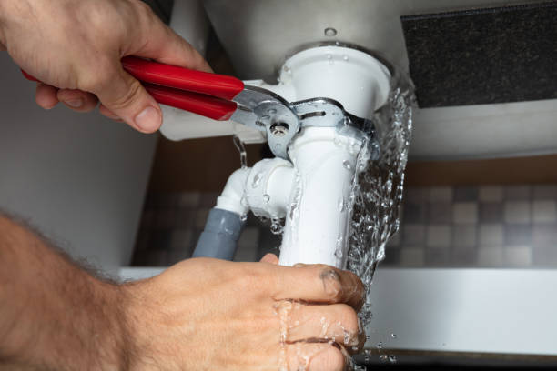 Best Water damage restoration process  in Spanish Fork, UT