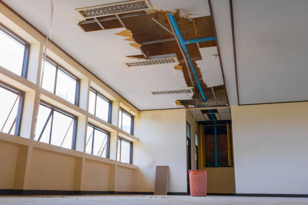 Best Water damage restoration experts  in Spanish Fork, UT