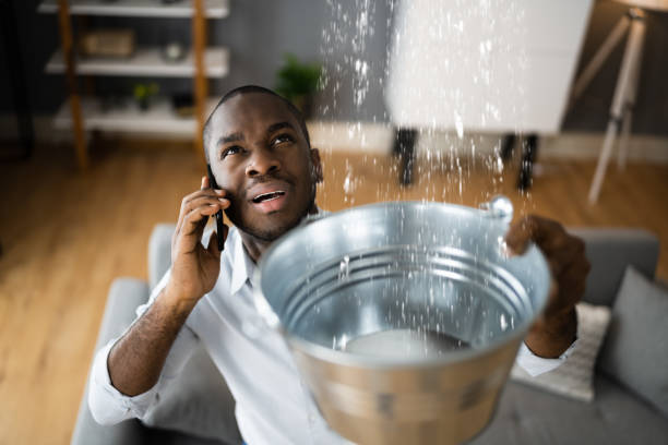 Best Flood restoration services  in Spanish Fork, UT