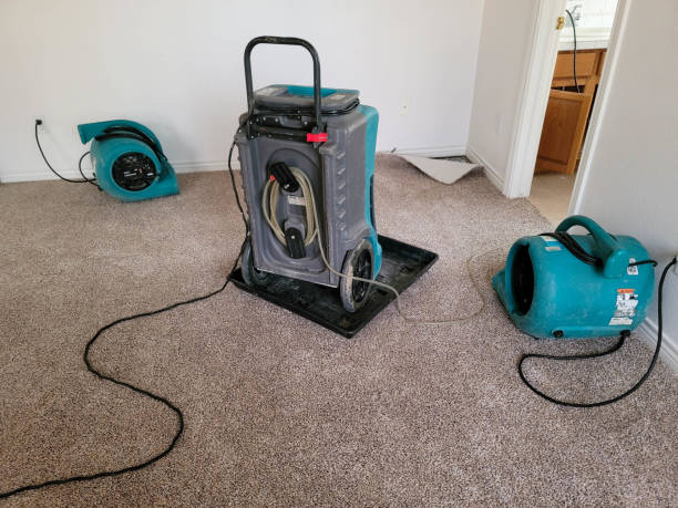 Professional Water damage restoration in Spanish Fork, UT