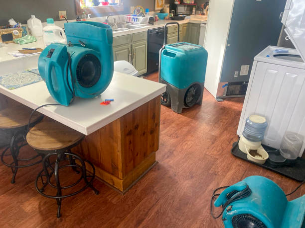 Reliable Spanish Fork, UT Water damage restoration Solutions