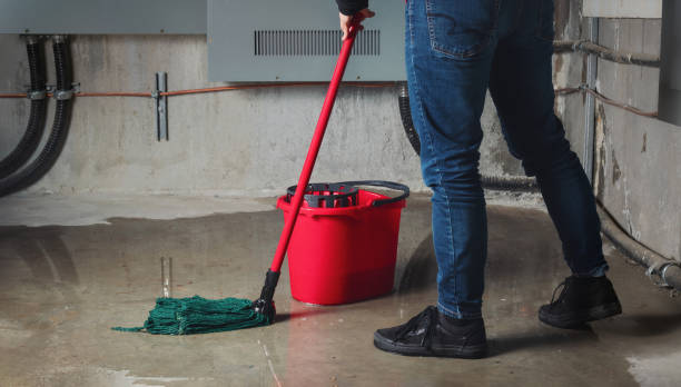 Best Water damage repair service  in Spanish Fork, UT