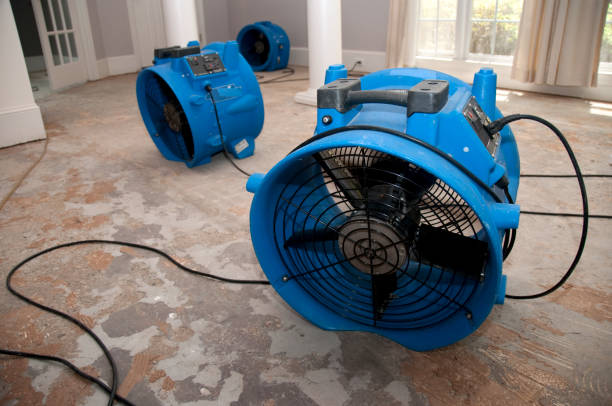 Best Basement water damage restoration  in Spanish Fork, UT