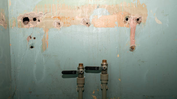 Best Emergency water damage restoration  in Spanish Fork, UT