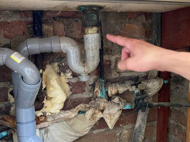 Best Water damage restoration services  in Spanish Fork, UT