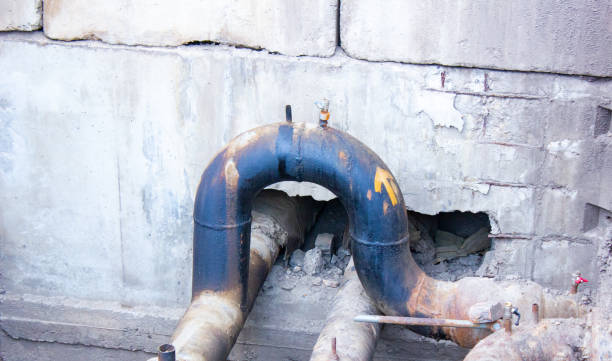 Best Mold removal after water damage  in Spanish Fork, UT