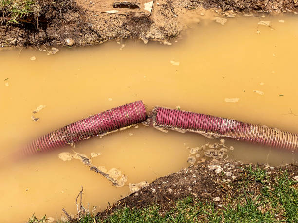 Best Flood restoration services  in Spanish Fork, UT