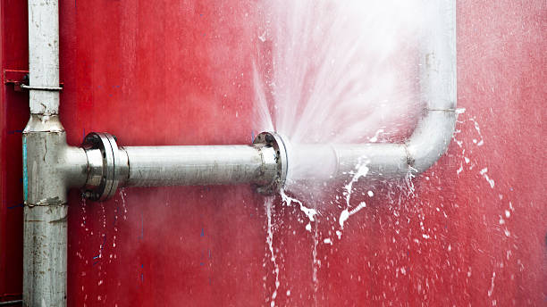 Best Professional water damage repair  in Spanish Fork, UT