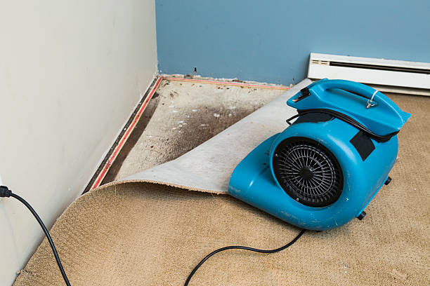 Best 24/7 water damage repair  in Spanish Fork, UT
