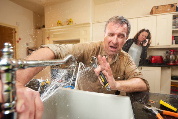Best Water damage cleanup near me  in Spanish Fork, UT